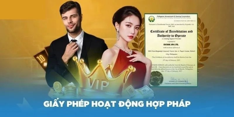 4 loại chứng nhận nền tảng được cấp